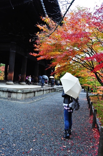 091117_e_京都南禪寺_005.JPG