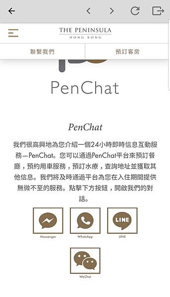 45.5, PenChat 2.jpeg