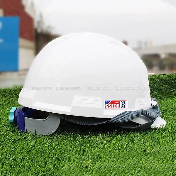 Top 5 Mũ Bảo Hộ Nhập Khẩu Được