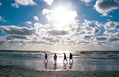 WaddenSea_Germany_Netherlands_05.jpg