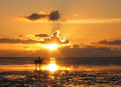 WaddenSea_Germany_Netherlands_07.jpg