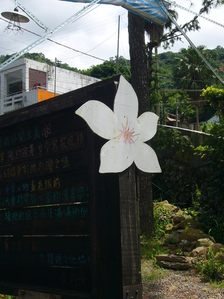 客家桐花