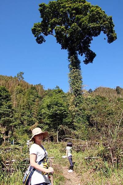 鳥嘴山露營_108_調整大小