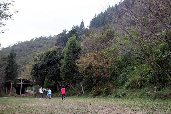 鳥嘴山露營_147_調整大小