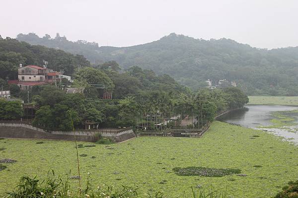 吾家農場-051_調整大小