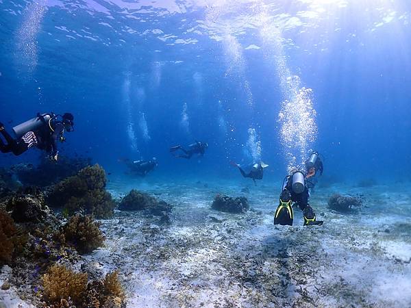 【菲律賓潛旅】2023 提著行李去薄荷島(潛Day2)