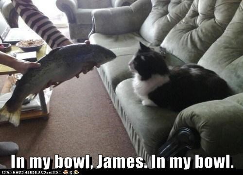 inmybowljames