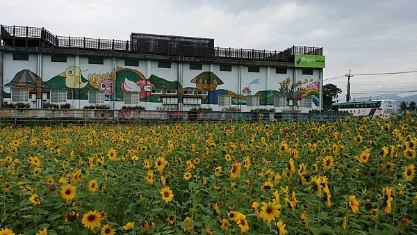 1487650796297 1487650796297