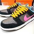 NIKE DUNK LOW SB PREMIUM 720度大迴轉 配色鮮艷 夠嗆.jpg