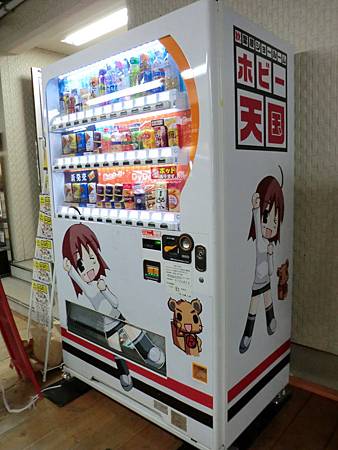 秋葉原 (14)