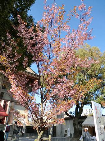 四天王寺 (2)