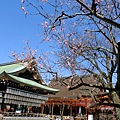 八阪神社 (13)