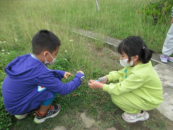 校園找花、插花趣~