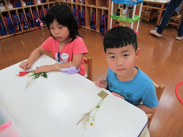 個人試著擺放花草