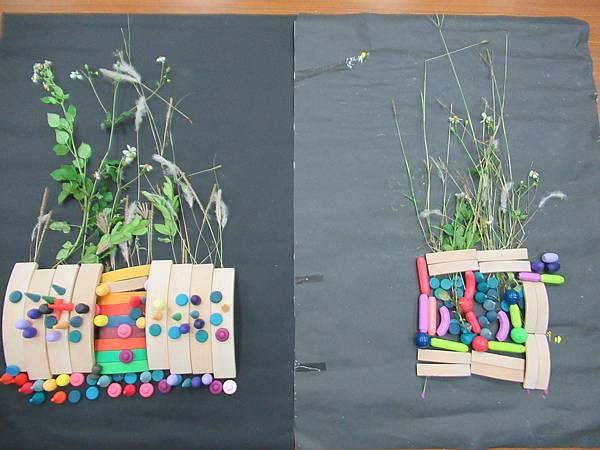 校園找花、插花趣~