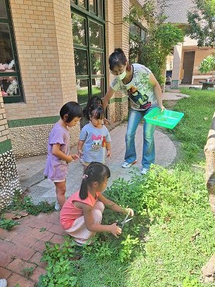 外埔植物尋寶樂