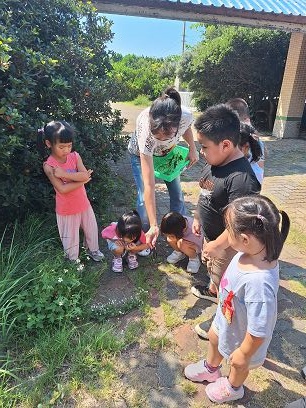 外埔植物尋寶樂