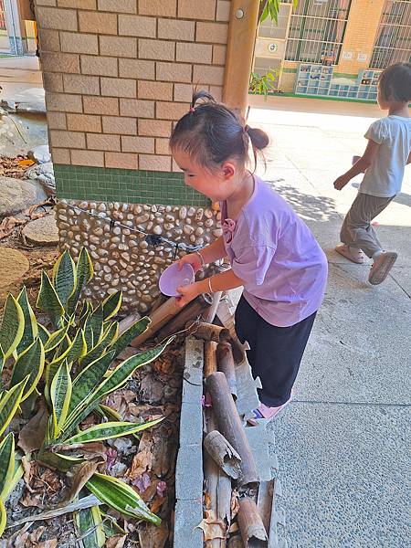 外埔植物尋寶樂