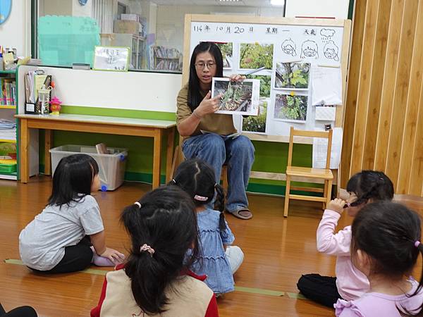 認識校園植物 認識校園植物