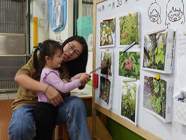認識校園植物 認識校園植物