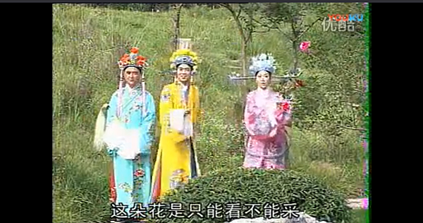 庐剧《孟丽君》十二集电视剧(魏小波&汪丽&