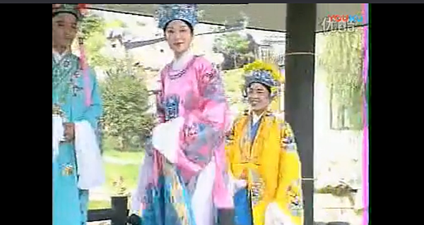 庐剧《孟丽君》十二集电视剧(魏小波&汪丽&