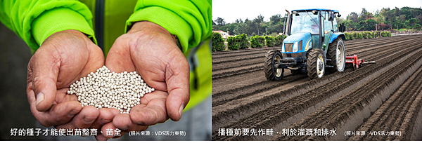 走進紅蘿蔔故鄉雲林東勢展現地陷區新實力 愛現不要陷 痞客邦 走進紅蘿蔔故鄉雲林東勢展現地陷區新實力 愛現不要陷 痞客邦