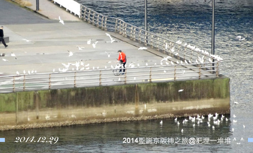 聖誕京阪神之旅2014