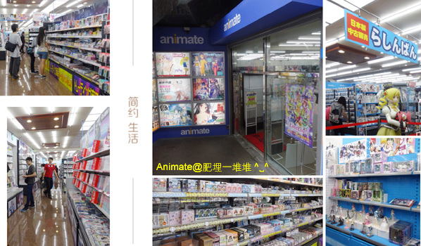 台北Animate