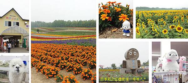 四季彩_ 四季彩_