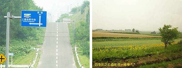 四季彩之丘 四季彩之丘