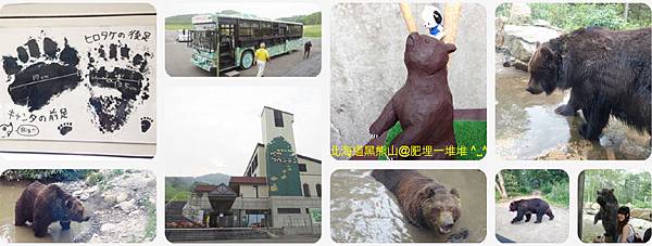 北海道黑熊山 北海道黑熊山