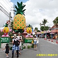 沖繩名護鳳梨公園