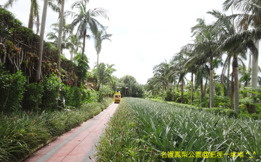 沖繩名護鳳梨公園