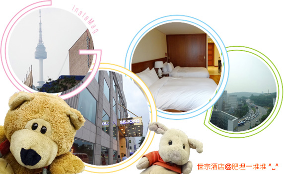 世宗酒店 世宗酒店