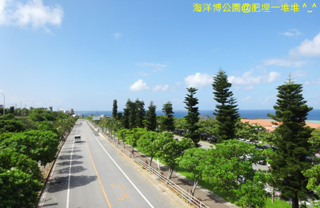 海洋博公園 海洋博公園