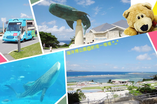 海洋博公 海洋博公