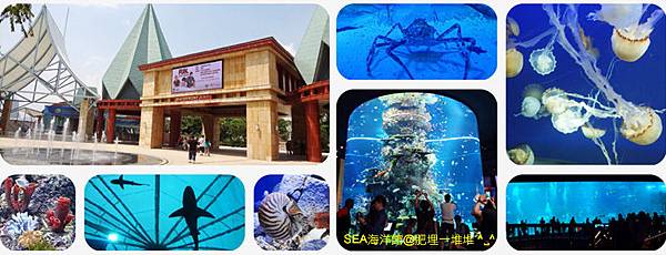 SEA海洋館