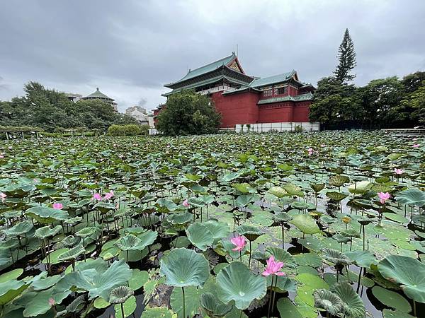 植物園.jpg