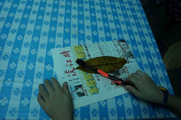 DSC06331-1024.jpg DSC06331-1024.jpg