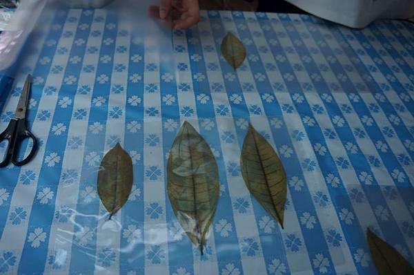 DSC06352-1024.jpg DSC06352-1024.jpg