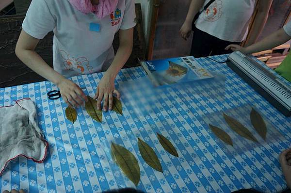 DSC06350-1024.jpg DSC06350-1024.jpg