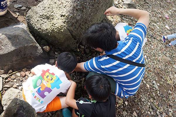 DSC06433-1024.jpg DSC06433-1024.jpg