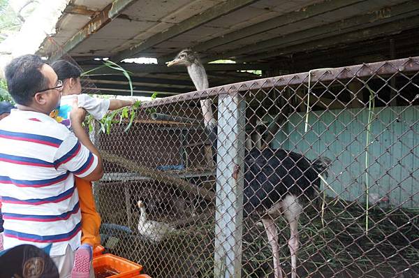 DSC06472-1024.jpg DSC06472-1024.jpg