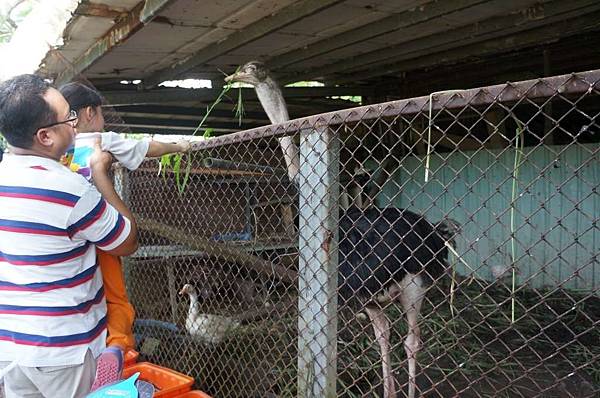 DSC06471-1024.jpg DSC06471-1024.jpg