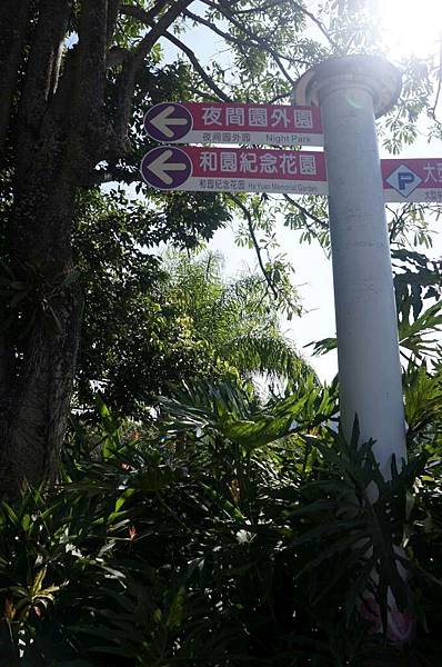 DSC08388-1024.jpg DSC08388-1024.jpg