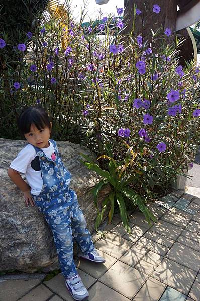 DSC08799-1024.jpg DSC08799-1024.jpg