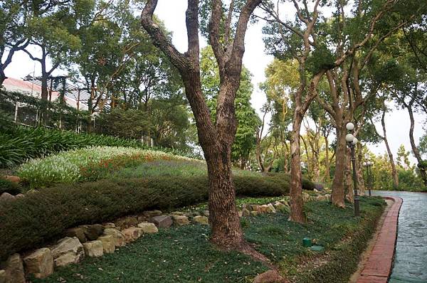 DSC09199-1024.jpg DSC09199-1024.jpg