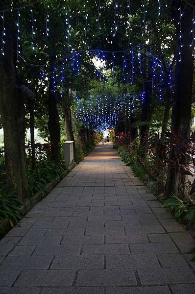 DSC09238-1024.jpg DSC09238-1024.jpg