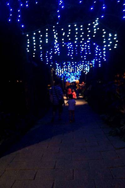 DSC09361-1024.jpg DSC09361-1024.jpg